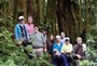 This is the team in 2009, standing in front of a giant strangler fig tree.  Yes, most of what you see in the background is one tree--don't be fooled by the fact that you can see through it.